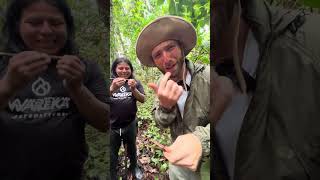 🇪🇨 Eating Lemon Ants in Ecuador Amazon Jungle