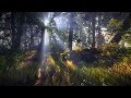 Trailer: The Witcher 2 - Xbox 360 Enhanced Edition Teaser