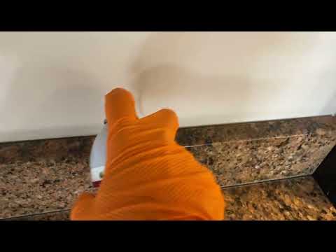 Splash Board Filled with German Cockroaches in Allentown, NJ