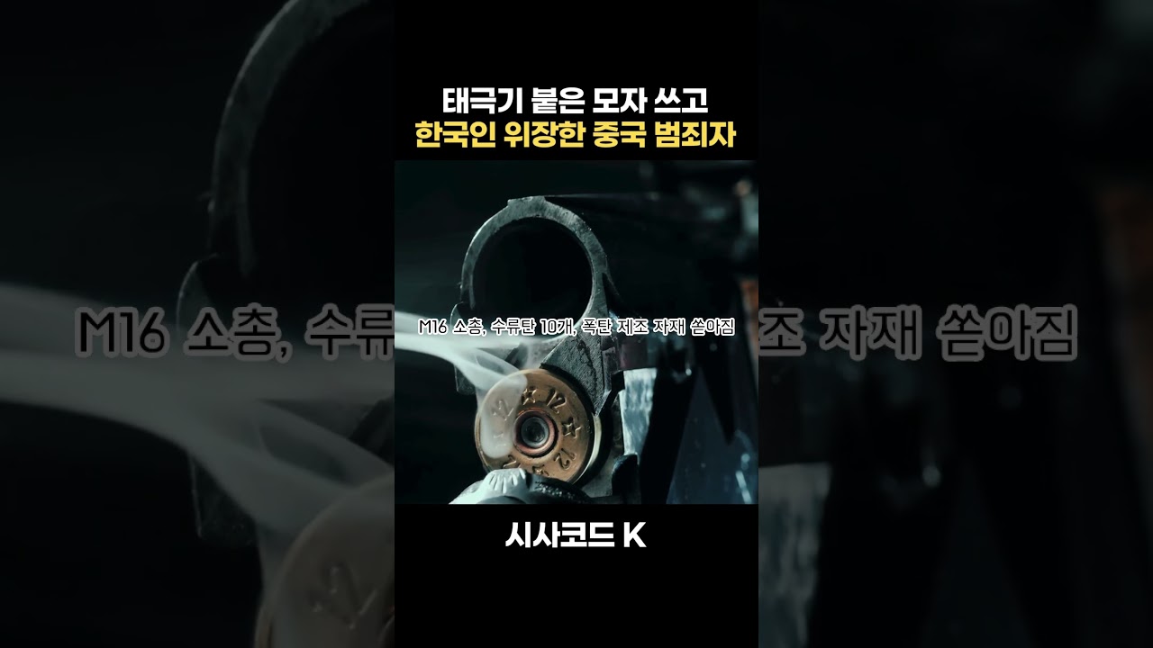 태극기 붙은 모자 쓰고 한국인 위장한 중국 범죄자