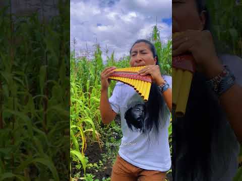 Disturbed - The Sound Of Silence (CYRIL Remix) / Atipak Christian cover - Pan Flute Instrumental