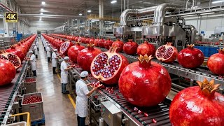 Top Juice Expert Shares BEST Pomegranate Juice Production Tips