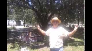 preview picture of video 'Casa Nueva del Viejo en Bithlo, Florida'