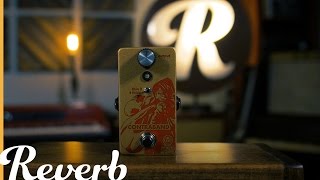 Video thumbnail for Walrus Audio Contraband Fuzz | Reverb Demo Video by Reverb