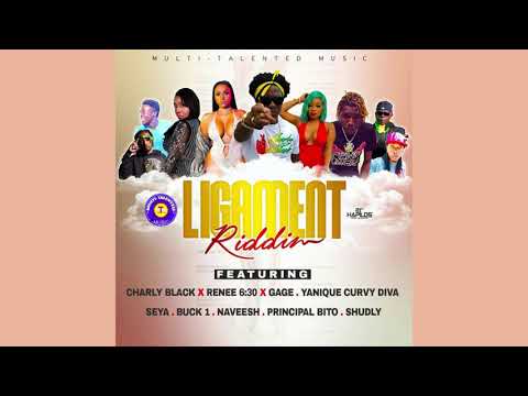 Ligament Riddim Mix (2019) Charly Black,Yanique Curvy Diva,Gage & More (Multi Talented Music)