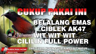 Download lagu MASTERAN KONIN FULL TEMBAKAN FULL ISIAN JERNIH DENGAN SUARA AIR CEPAT MASUK ! KONIN ISIAN MEWAH !! mp3