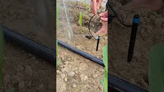 sprinkler valve water sprinkler system raft sprinkler #shorts #ytshorts #field #agriculture #soil