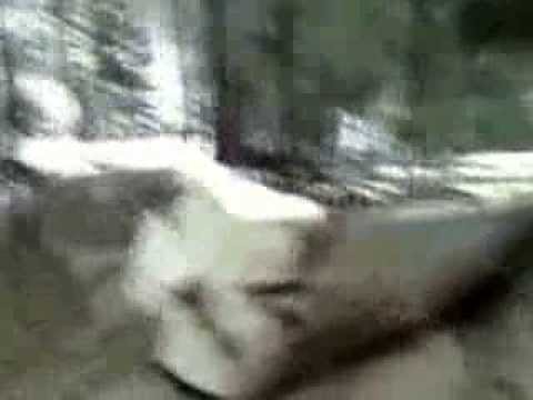 taf la hartagu cu Costel 2