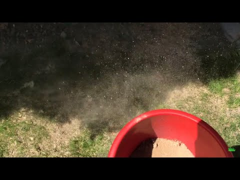 Rasen kalken: Wie benutzt man Rasenkalk? | Rasen-Traum.de