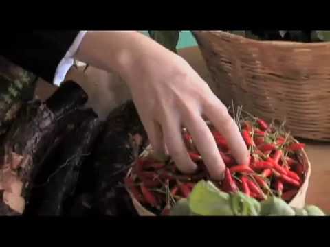 EL SABOR DE MI TIERRA