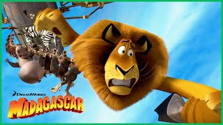 A Capitã Chantel Dubois Caça o Rei das Feras | DreamWorks Madagascar em Português