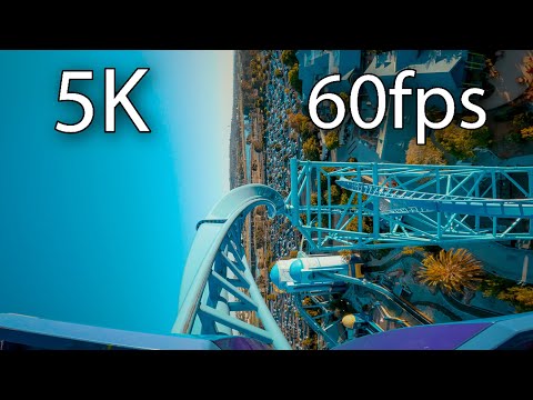 Front row point of view footage of Electric Eel