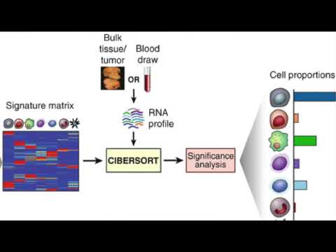 Developing RNAseq Pipelines - Arvind Krishnan