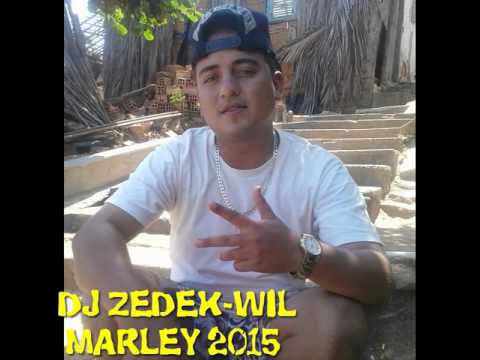 DJ ZEDEK-WILL MARLEY 2015