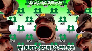 VINESAUCE VINNY SCREAMING
