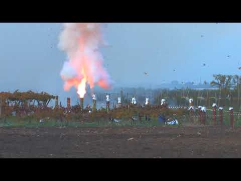 San Trifone 2017 | Close up