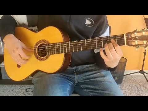 Sergio Sánchez Torres SE 114 + Fishman Premiun Blend - 2014 Shellac varnish image 21