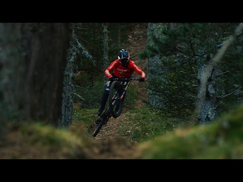 Hugo Frixtalon - Skin #3