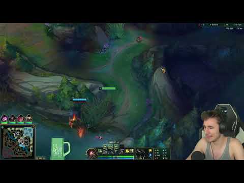 SONO IL MEME DEL TEAM - League of Legends ITA #1978