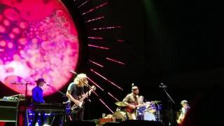 Ray Lamontagne - She&#39;s The One (Ascend Amphitheater)