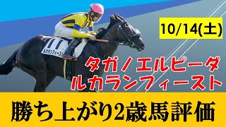 【10月2週目新馬戦】10月14日の2歳戦を評価！！圧勝のジュンゴールドと末脚を使った新馬2頭に要注目！！