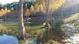 2024 1 16大溪月眉人工濕地生態公園