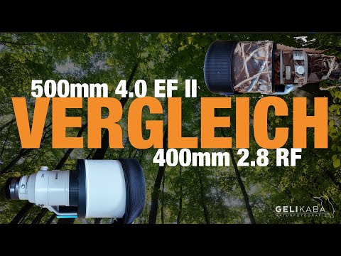 A practical comparison of prime lenses: 400mm 2.8 RF vs. 500mm 4.0 EF II. My impressions & recomm...