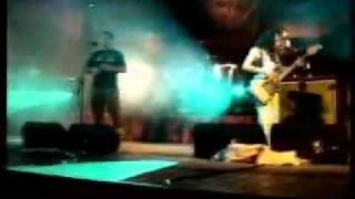 Paja Brava - La Renga