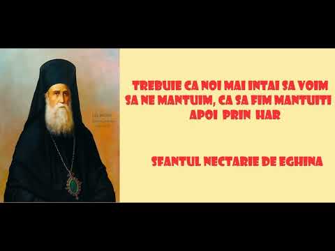 Trebuie ca noi mai intai sa voim sa ne mantuim, ca sa fim mantuiti apoi prin Har - Sfantul Nectarie