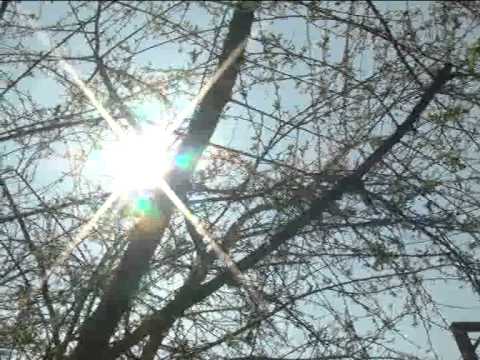 ONDA TG 21.03.2014 - PRIMAVERA 2014 IN VALLE PELIGNA