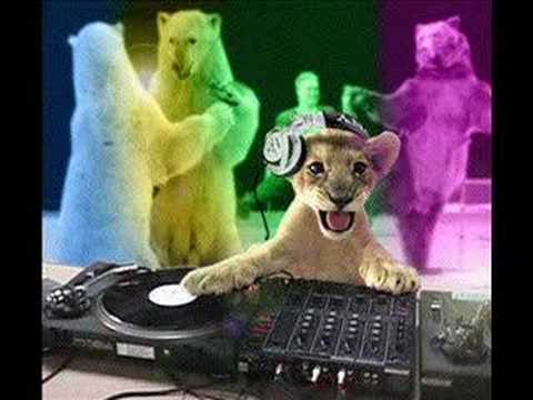 download lagu mp3 mp4 Afro Vida, download lagu Afro Vida gratis, unduh video klip Afro Vida