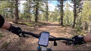 Pine Elfin Trail - Beaver Ranch Park - Conifer - Colorado