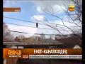 Енот-канатоходец 