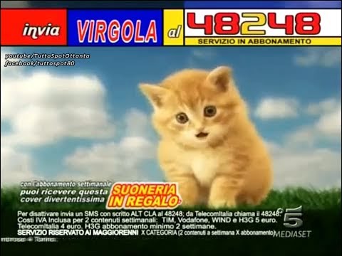 Spot - COMMA KITTEN Ringtone - 2008 (HD) The original!!