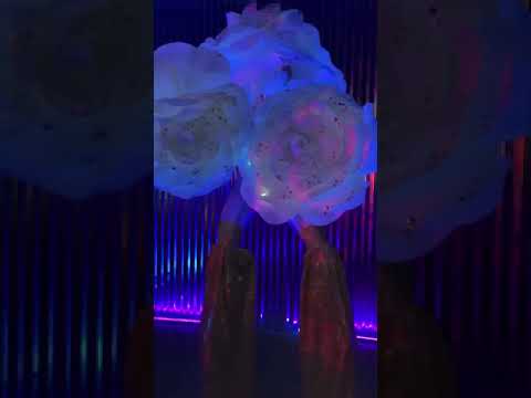 Promotional video thumbnail 3 for Riot Circus Arts