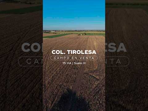 Campo suelo III | Colonia Tirolesa | 15HA en venta #agriculture #drone #farming #agro #irrigation