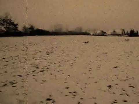 "Slike u snegu" V.I.B