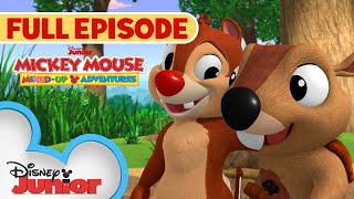 Download lagu Dale's New Pal | S1 E32 | Full Episode | Mickey Mouse: Mixed-Up Adventures | @disneyjr mp3