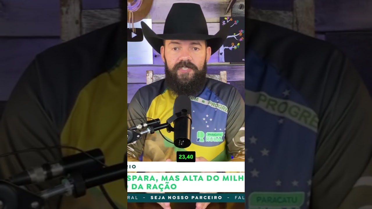 Boi Gordo dispara, mas alta do milho preocupa e pode elevar preço da ração
