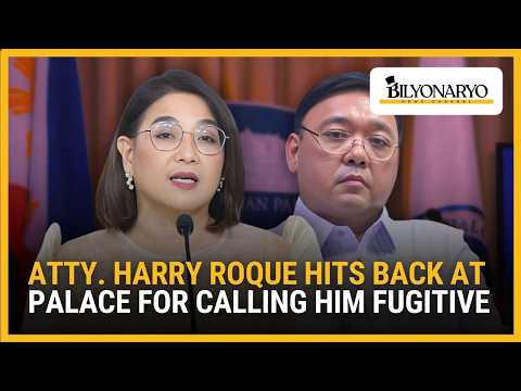 Atty. Harry Roque hits back at Palace for calling him fugitive | The Daily Dish