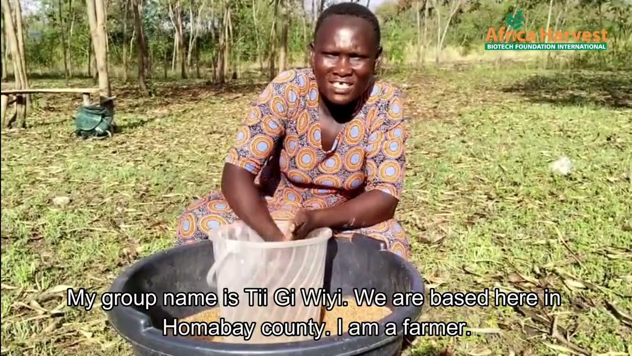 Youth in Agriculture: DTC 4 Youth Jobs Creation project