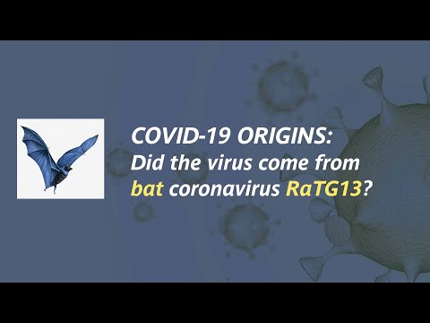 COVID-19 origins: Did SARS-CoV-2 come from bat coronavirus RaTG13?