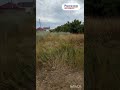 Видео превью