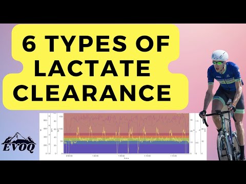 6 Types of Cycling Lactate Clearance Over Unders