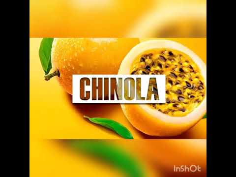 EL LAMINADOR RD FT OLIMPO EL KING FT  EL TROTIAO RJ Y CRIS TOWEL( CHINOLA)