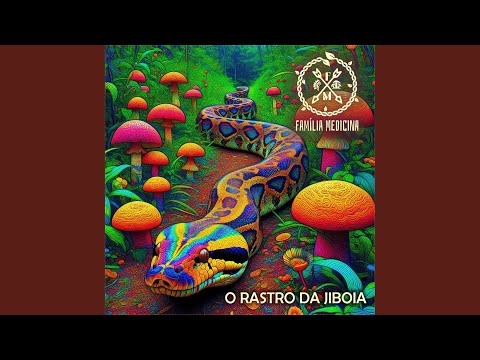 O Rastro da Jiboia (feat. O Mensageiro Beija-Flor)