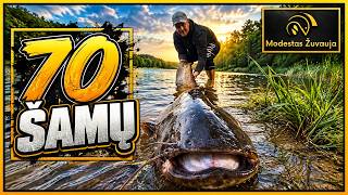 70 šamų