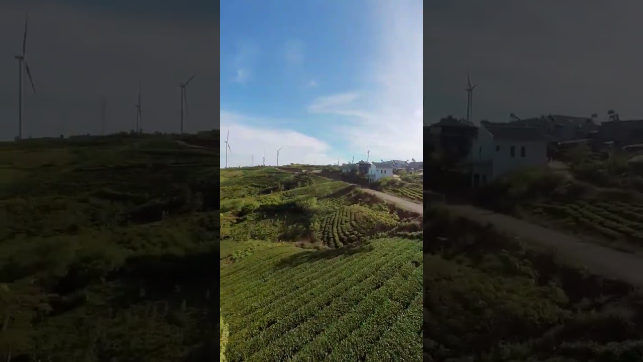 YouTube Short thumbnail