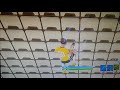Faze Kaz My 1st Trick Shot KazTS