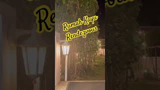 Download lagu Santap malam di Rumah Kayu Rendezvous #cover #dinner #restaurant #manadopunya #manado mp3